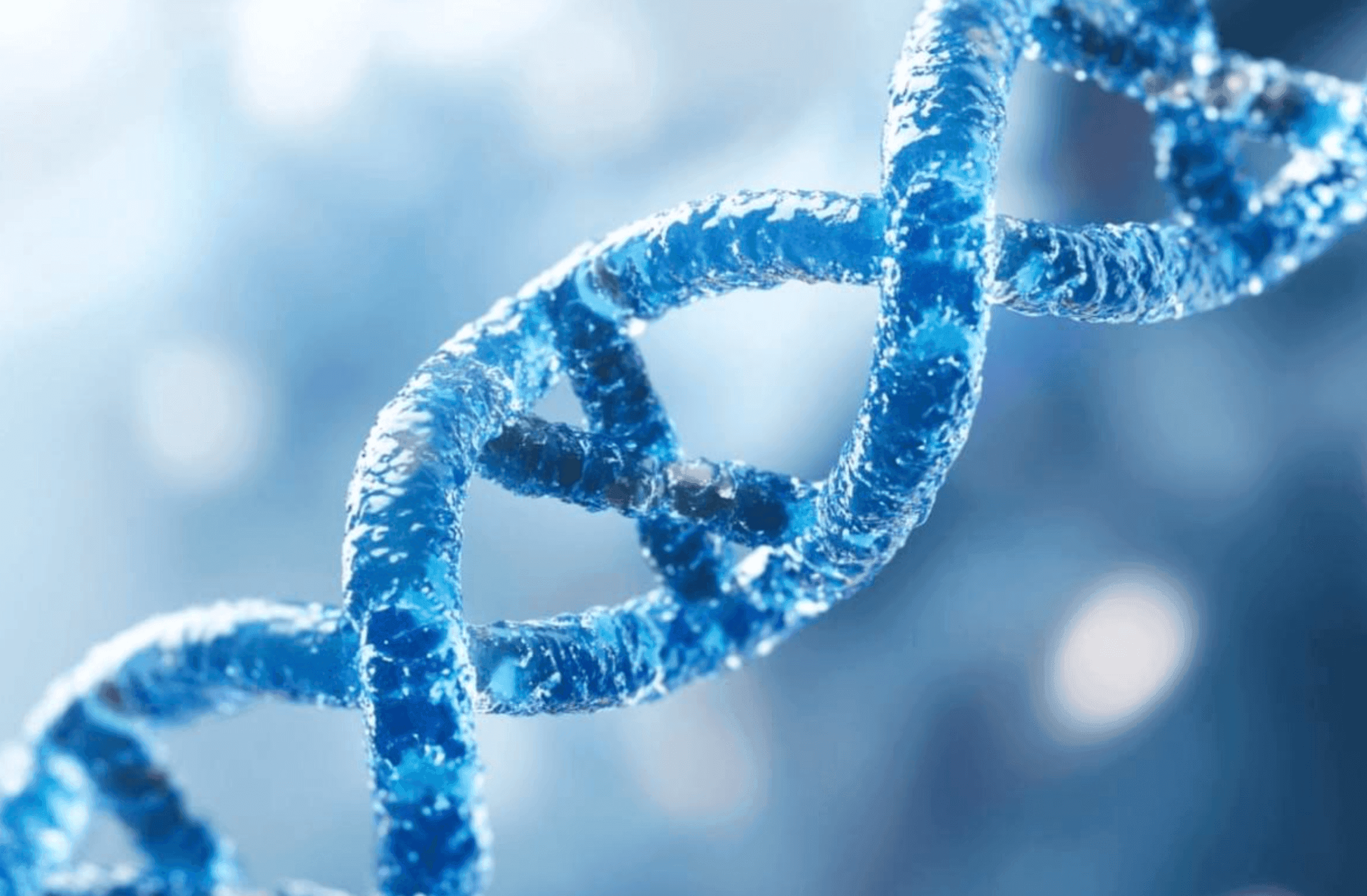 Cover image for the article: The Longevity Myth: Revisited 