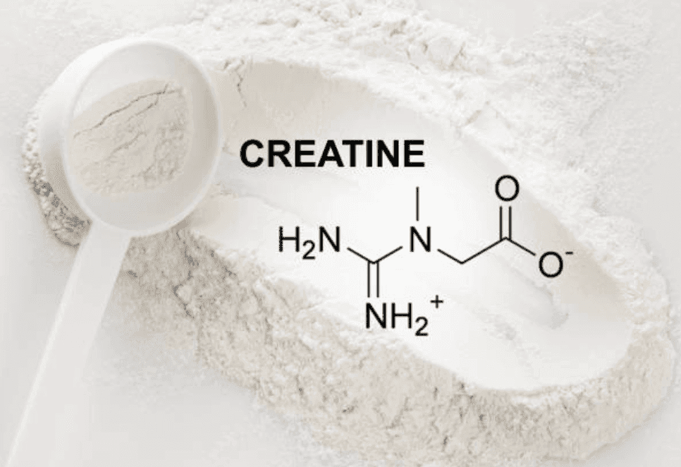 Cover image for the article: Creatine: An Emerging Panacea?